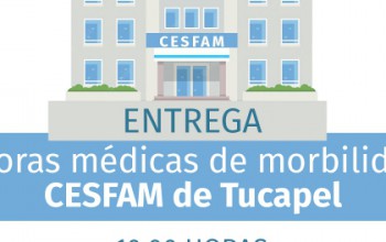 NUEVO HORARIO DE ENTREGA DE HORAS MÉDICAS EN CESFAM DE TUCAPEL