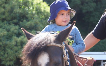 PROYECTO DE EQUINOTERAPIA PARA NIÑOS Y NIÑAS AUTISTAS