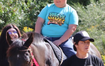 PROYECTO DE EQUINOTERAPIA PARA NIÑOS Y NIÑAS AUTISTAS