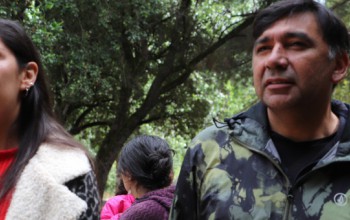 CULMINÓ PROYECTO DE MEDICINA MAPUCHE LAWENTUN 