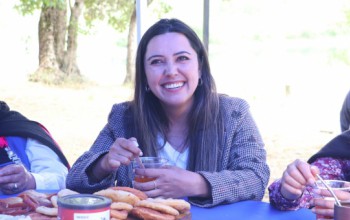 CULMINÓ PROYECTO DE MEDICINA MAPUCHE LAWENTUN 