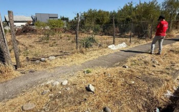 FISCALIZAMOS PREDIOS CON PASTIZALES