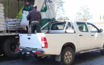 USUARIOS PRODESAL RECIBEN INSUMOS