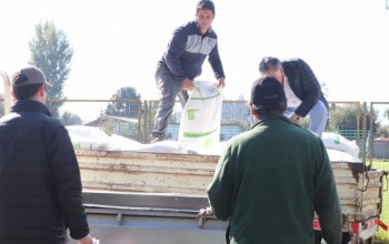 USUARIOS PRODESAL RECIBEN INSUMOS