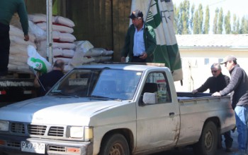 USUARIOS PRODESAL RECIBEN INSUMOS