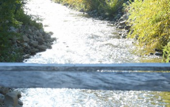 EFECTUAMOS LABORES DE MANTENCIÓN EN CAUCE DE RÍO MANCO