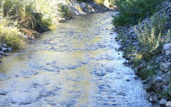 EFECTUAMOS LABORES DE MANTENCIÓN EN CAUCE DE RÍO MANCO