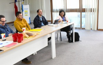 LA PRÓXIMA SEMANA COMIENZAN OBRAS DE COMITÉ TUCAHUE