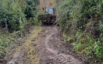 EFECTUAMOS LABORES DE PREVENCIÓN EN OPERACIÓN INVIERNO